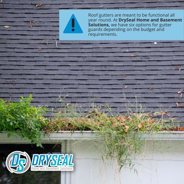 DrySeal Home and Basement Solutions business image in Farmville, VA