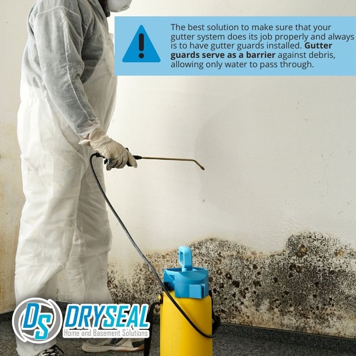DrySeal Home and Basement Solutions business image in Farmville, VA