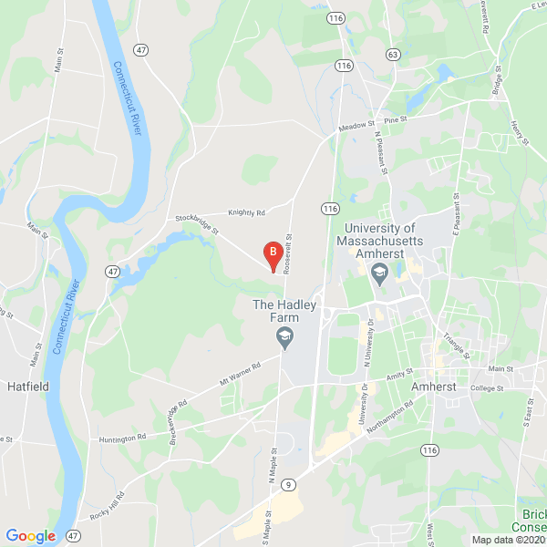 Business directory image